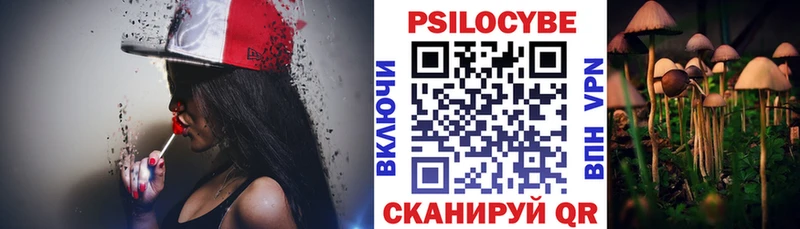Купить закладки  Емва  Псилоцибиновые грибы мухоморы 
